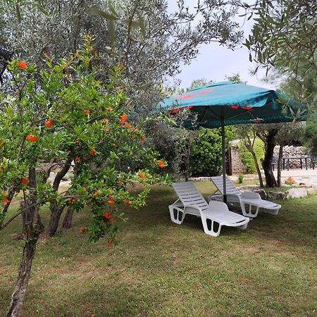 法扎纳Marti'S House In The Olive Grove公寓 外观 照片