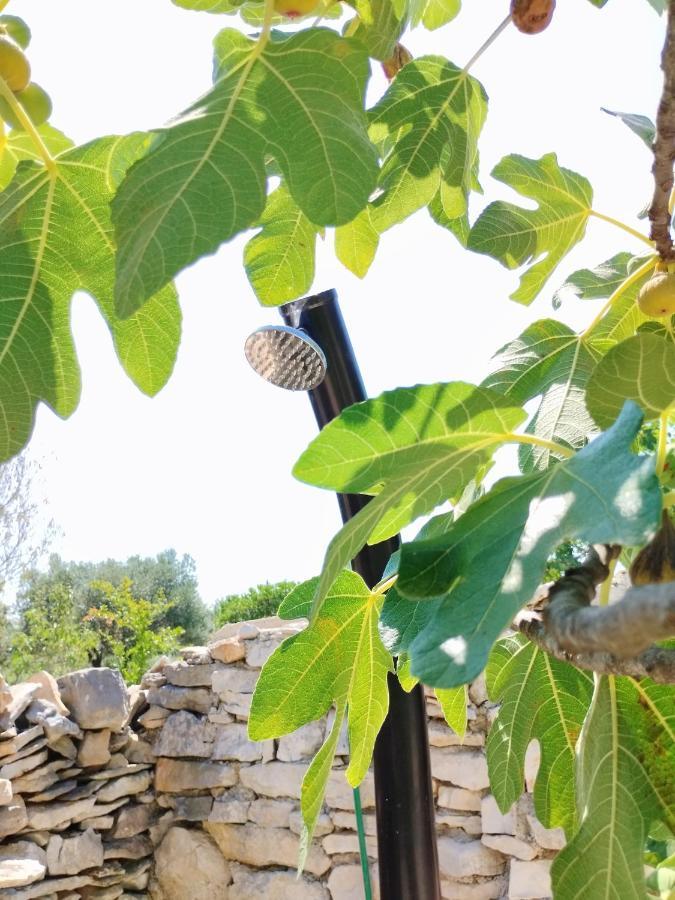 法扎纳Marti'S House In The Olive Grove公寓 外观 照片