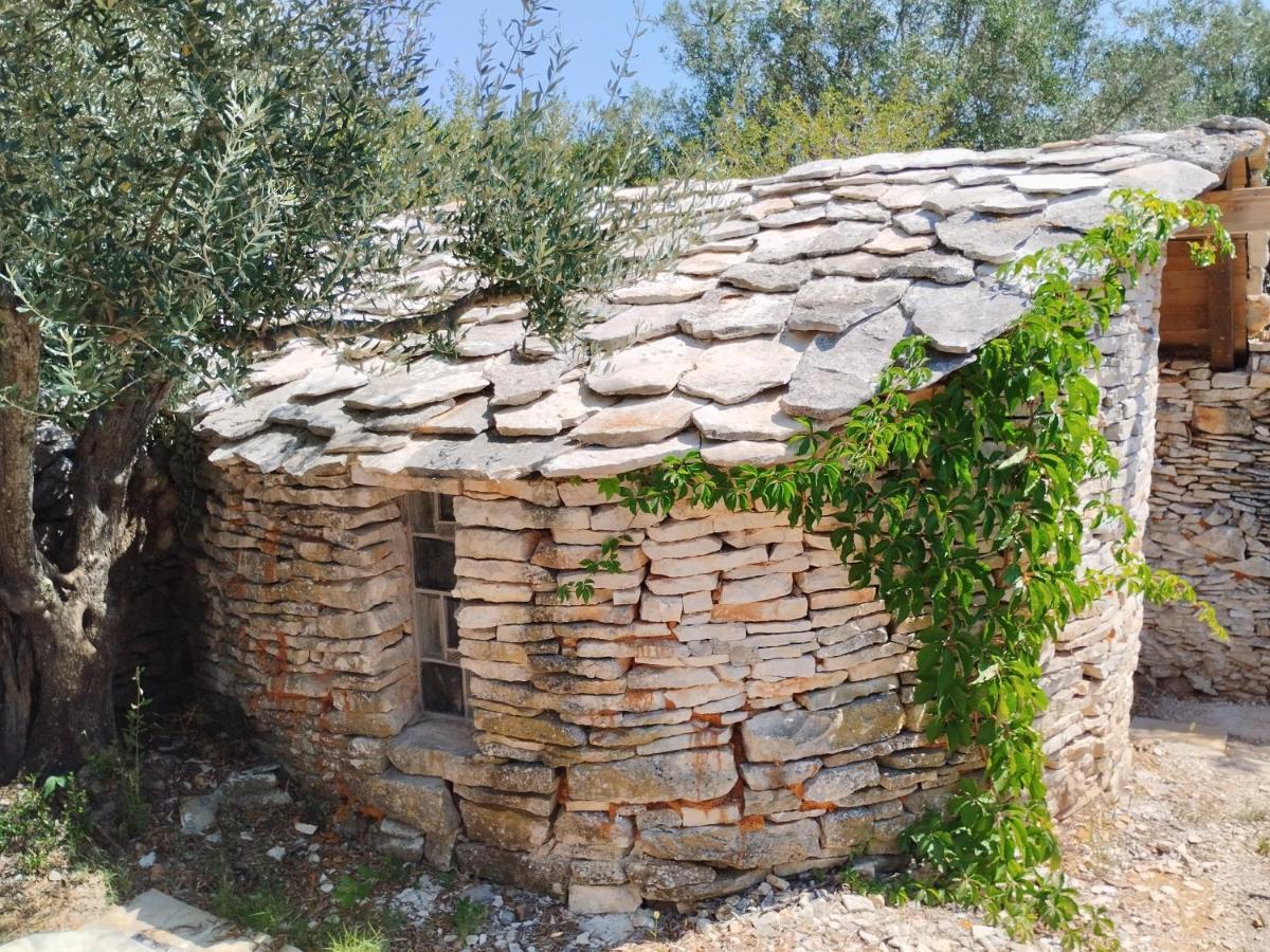 法扎纳Marti'S House In The Olive Grove公寓 外观 照片