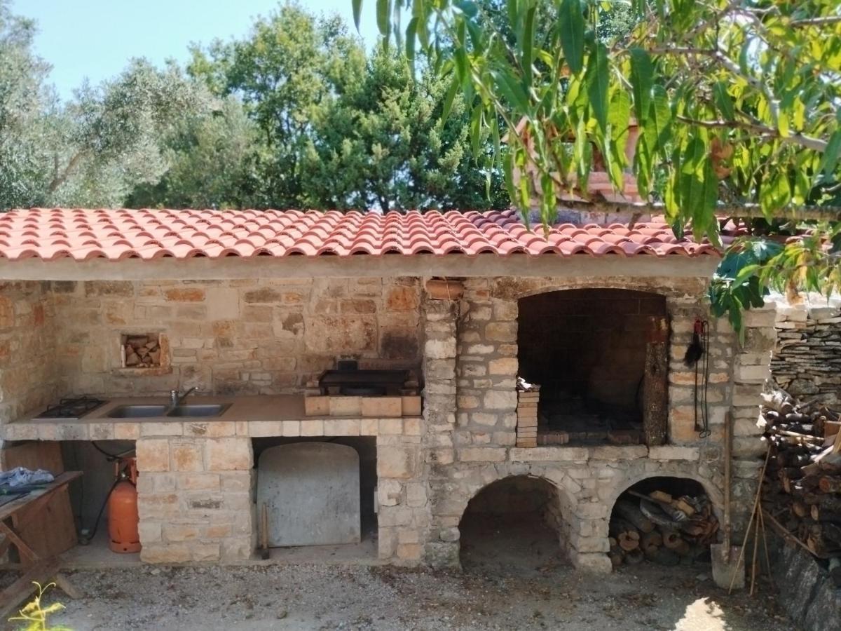 法扎纳Marti'S House In The Olive Grove公寓 外观 照片