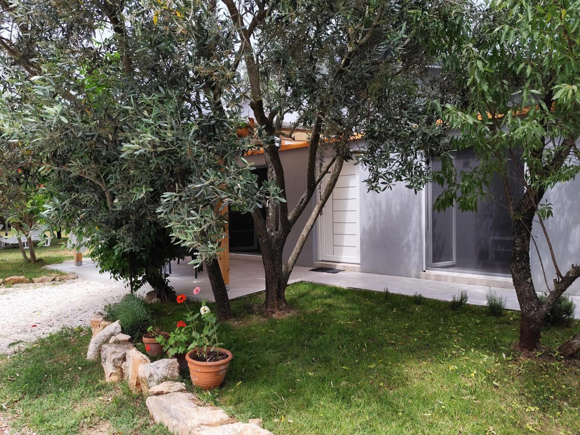 法扎纳Marti'S House In The Olive Grove公寓 外观 照片