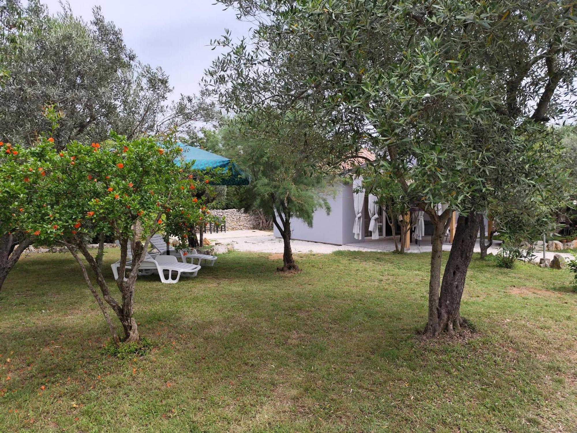 法扎纳Marti'S House In The Olive Grove公寓 外观 照片